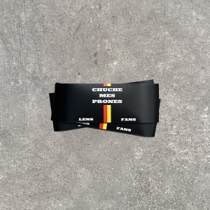 Stickers "Chuche Mes Prones"